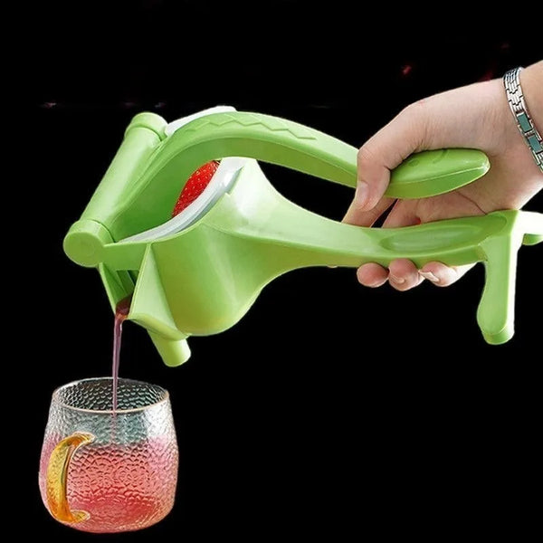 Multi-function small fruit juicer