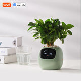 Smart AI Planter