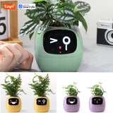 Smart AI Planter